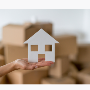 Shipping and Logistics